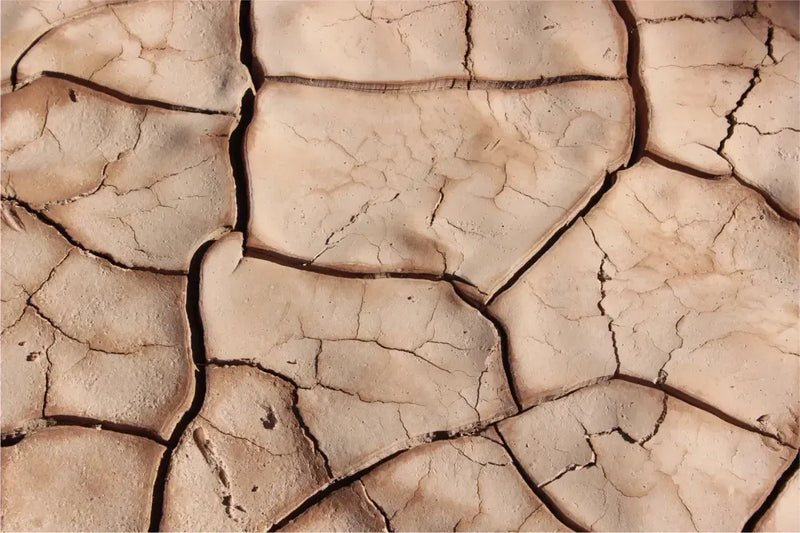Winter Dryness: Why Your Skin is Dry and What You Can Do About It
